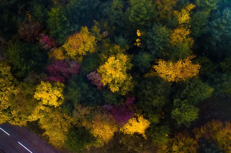 Agile Software Development for Your Next SaaS Product