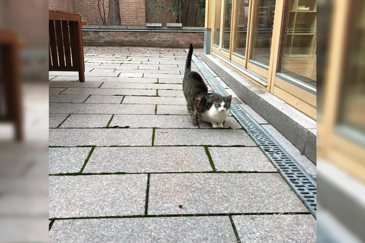A Glitch in The Matrix