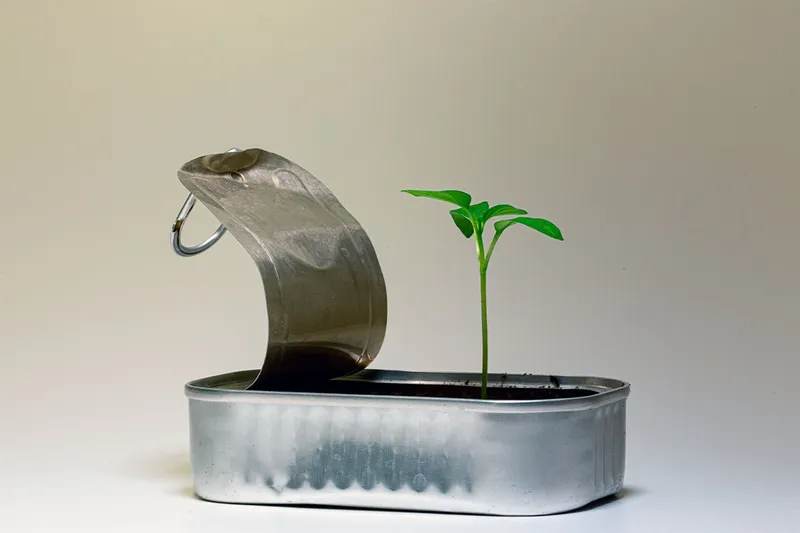 Starting A SaaS Company: A Summary